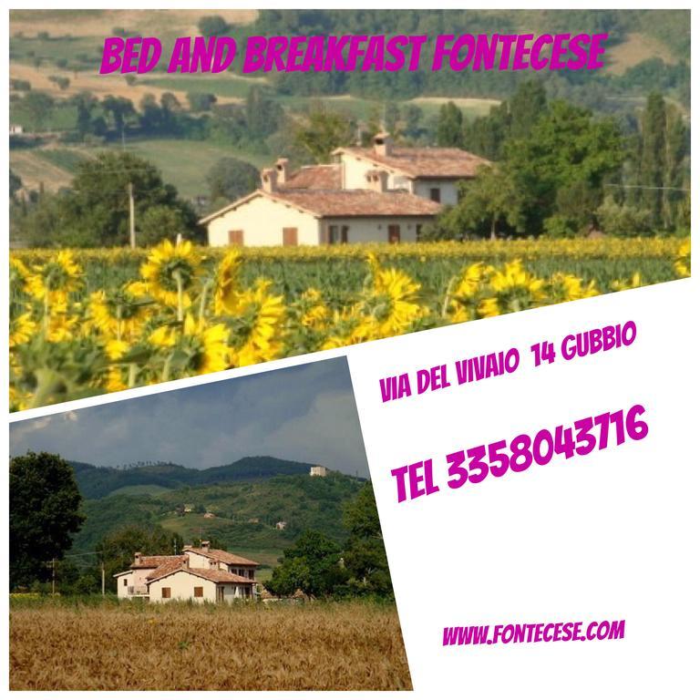 Aparthotel Fontecese Gubbio Esterno foto